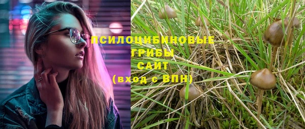 дмт Алексеевка