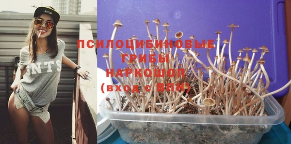 дмт Алексеевка