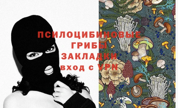 дмт Алексеевка