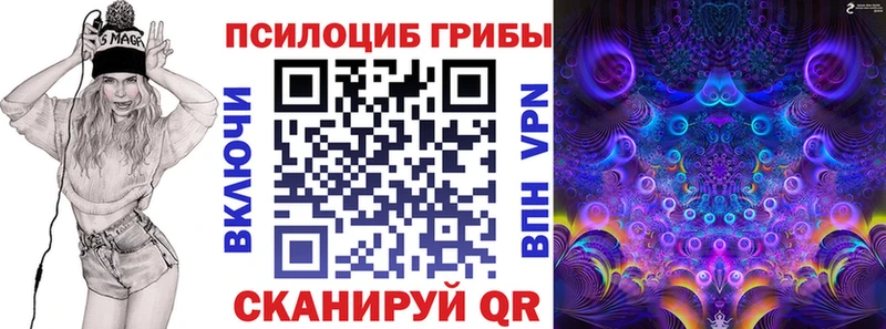 гидра ТОР  закладка  Куйбышев  Псилоцибиновые грибы MAGIC MUSHROOMS 